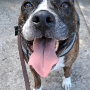 Screenshot_20250930_163924_Messages